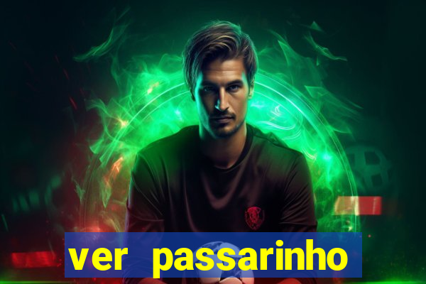 ver passarinho morto significado espiritual